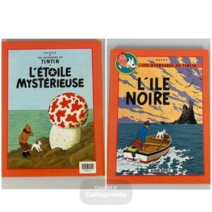 Les Aventures de Tintin Special Edition - L'ile Noire/ L'etoile Mystérieuse Book